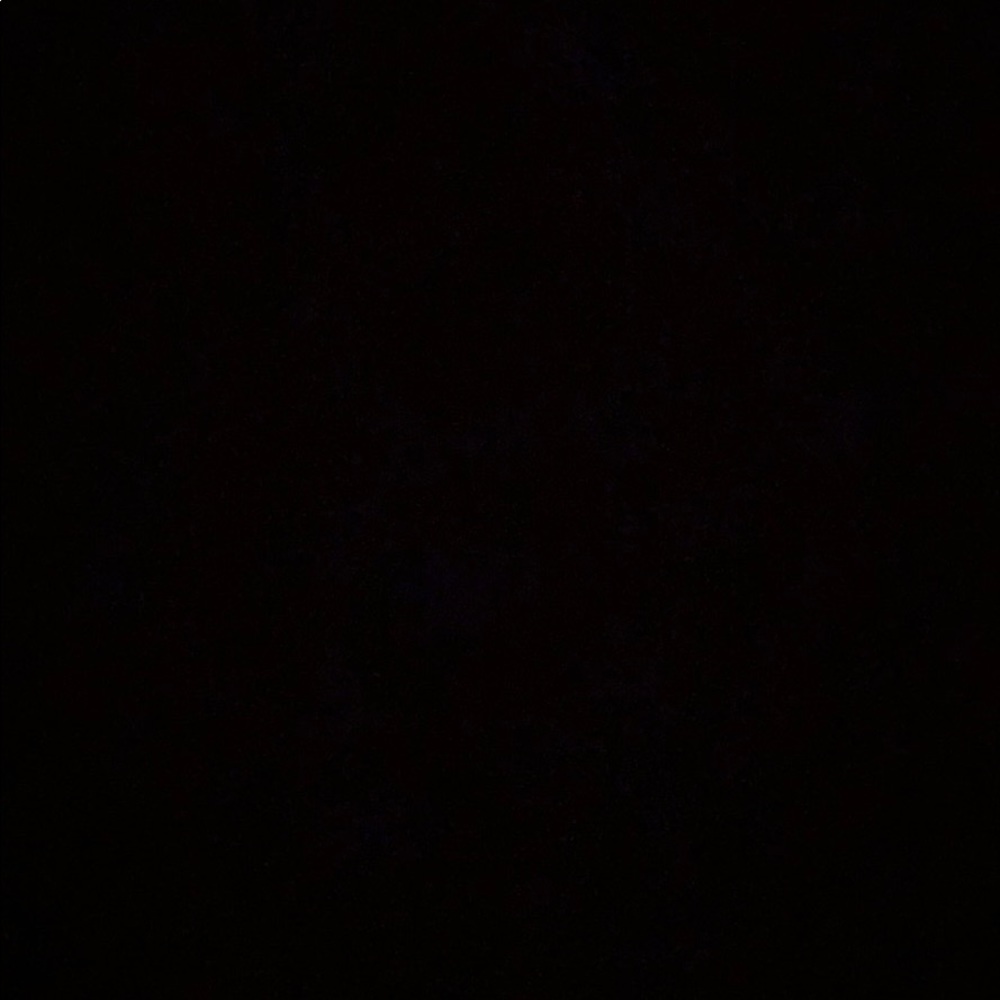 Meet your Posher, Reagan